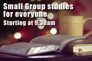 SmallGroupStudies